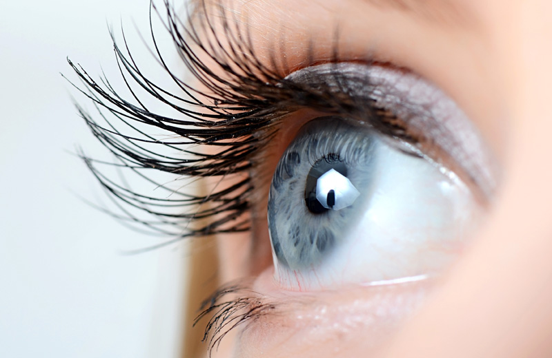 A close up colour photo of a blue eye with long eyelashes , representing the eye treatment page of Vicki Hooper Beauty website - Eye lash and eye brow tinting and LVL enhance - Grayshott & Headley Down